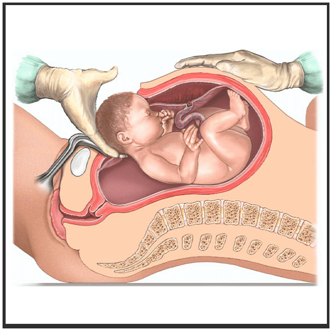 Doctor consulting with a patient